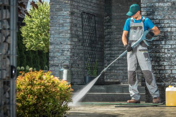 Best Driveway Pressure Washing  in Winchester, KY